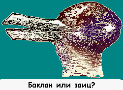 42.gif