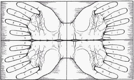 54.gif