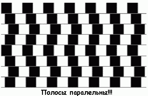 58.gif